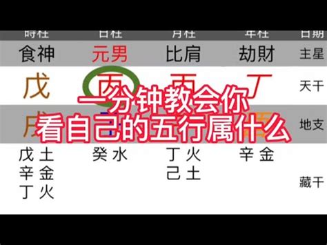 一運屬性|免費生辰八字五行屬性查詢、算命、分析命盤喜用神、喜忌